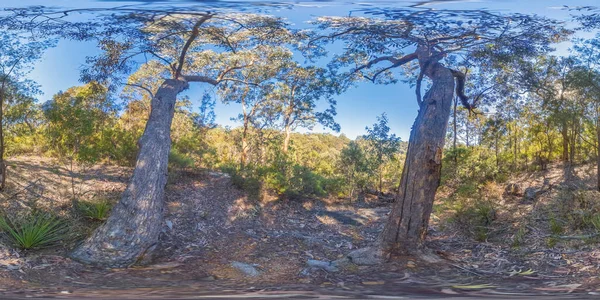 Sférická Panoramatická Fotografie Křoví Údolí Oblasti Hawkesbury Modrých Horách — Stock fotografie