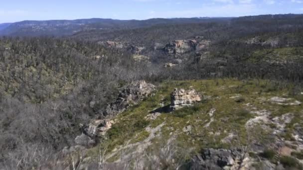 Drone Images Aériennes Régénération Des Forêts Après Violent Incendie Brousse — Video