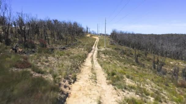 Drone Aerial Footage Telephone Posts Lines Dirt Road Severe Bush — Vídeo de Stock