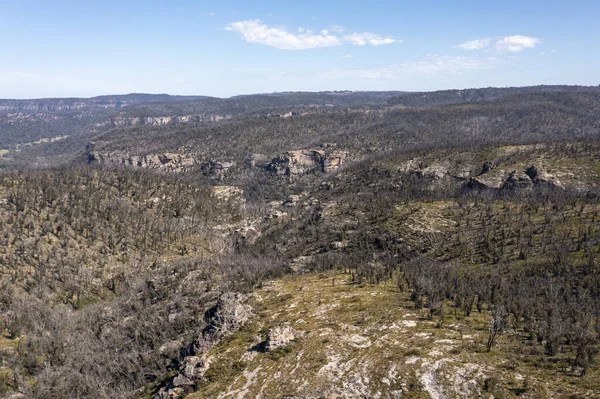 Zdjęcia Lotnicze Dronów Regeneracji Odrastania Lasów Pożarach Krzewów Blue Mountains — Zdjęcie stockowe