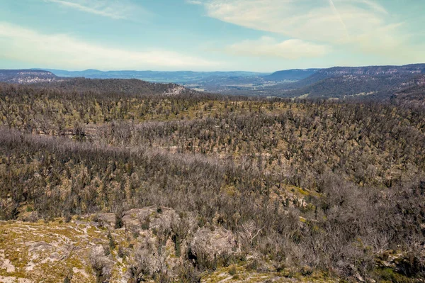 Drone Aerial Photograph Forest Regeneration Regrowth Bushfires Blue Mountains Regional — Stock Photo, Image