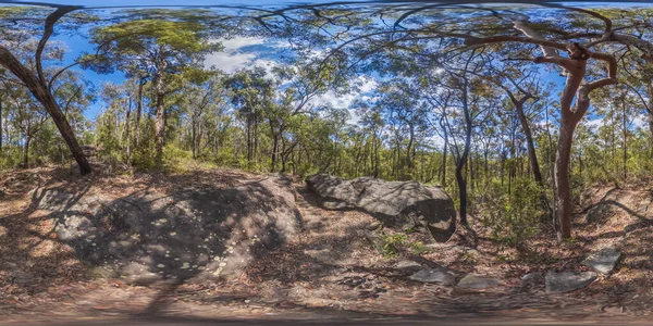 Fotografía Panorámica Esférica Una Pista Tierra Rocosa Que Atraviesa Bosque — Foto de Stock