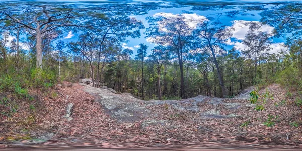 Sférická Panoramatická Fotografie Skalnatého Údolí Lese Eukalyptů Modrých Horách Novém — Stock fotografie