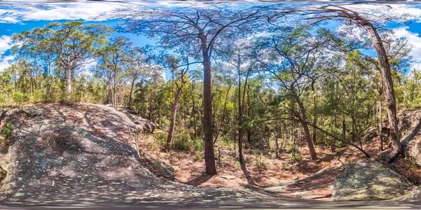 オーストラリアのニューサウスウェールズ州のブルーマウンテンのユーカリの木の森の中の岩の谷の球面パノラマ写真 — ストック写真