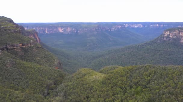 オーストラリアのニューサウスウェールズ州のブルーマウンテンでの森林火災の後 エクスプローラー範囲内の谷や崖のドローンの空中映像 — ストック動画