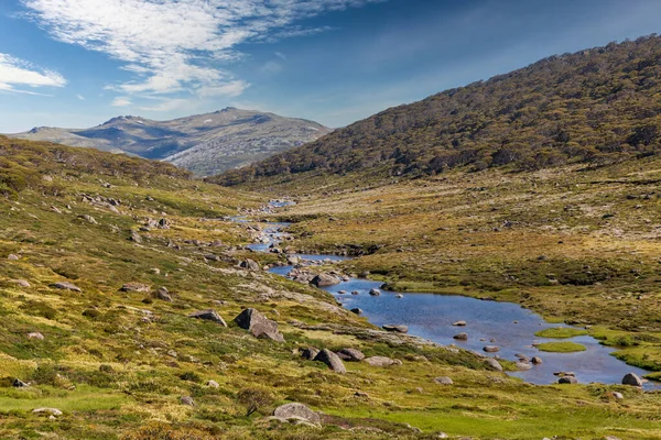 Foto Van Een Zoetwaterrivier Die Door Een Groene Rotsachtige Vallei Stockafbeelding