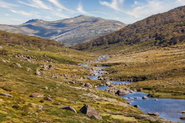 Avustralya 'nın Yeni Güney Galler' indeki Karlı Dağlar 'daki yeşil kayalık bir vadiden akan tatlı bir su nehrinin fotoğrafı.