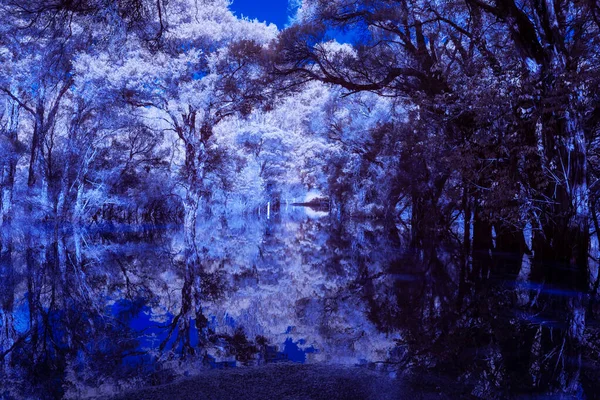 Infrared Photograph Flooding River Road Blundells Creek Hawkesbury River Lower — Fotografia de Stock