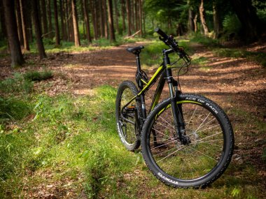 Caen, Fransa 2022. Ormanda dağ bisikleti, spor aktiviteleri. Yeşil ormanların bulanık arkaplanı, güneşin parıldayan ışınları