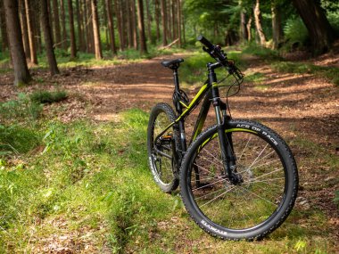 Caen, Fransa 2022. Ormanda dağ bisikleti, spor aktiviteleri. 