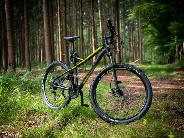 Caen France 2022 Mountain Bike Forest Sport Activity Blurred Background — Stock Photo, Image