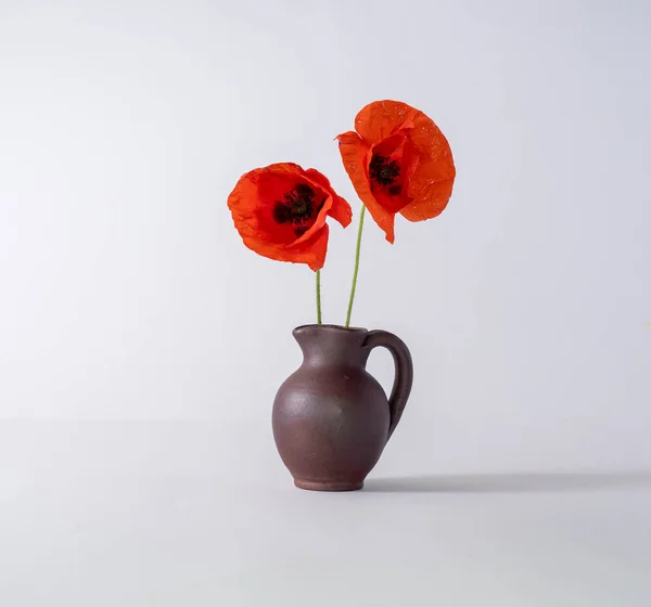 red poppies in a vase on a white background, flowers symbol of heroes in the fight for world peace