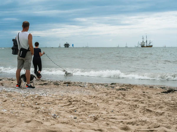 Rochelle France July 2022 Woman Walks Her Dog Local Beach — Stock Photo, Image