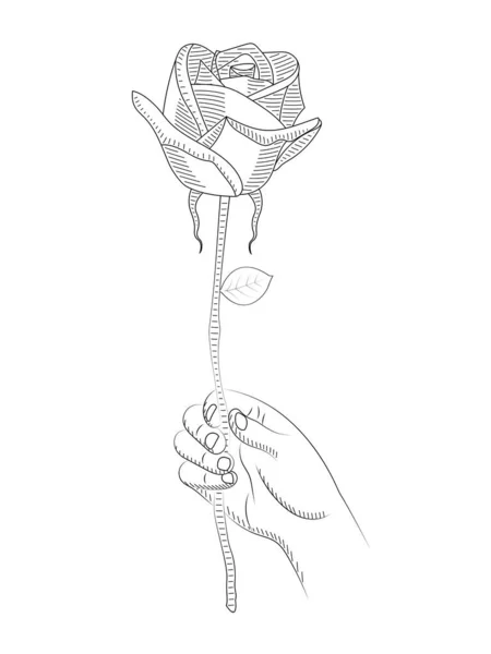 Elinizde bir gül vektörü çizimi var. Sevgililer Günü konsepti.