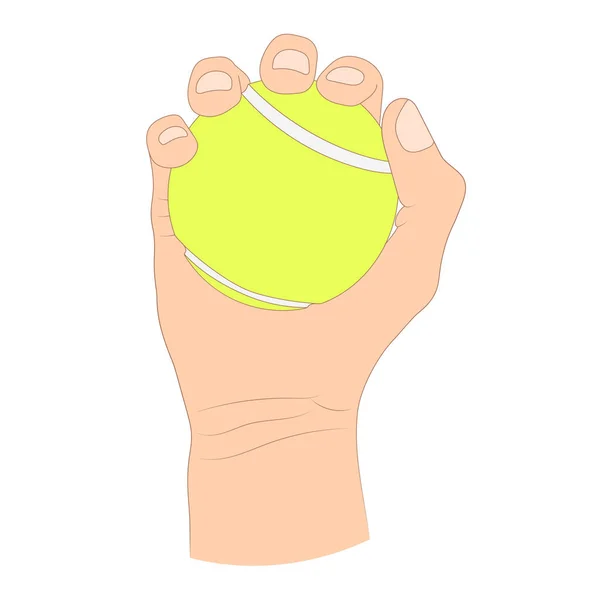 Hand Holding Tennis Ball Vector Illustration — Vetor de Stock