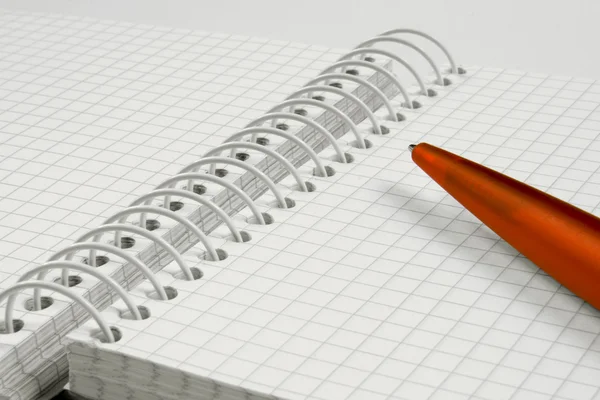 Kalemle birlikte sarmal defter