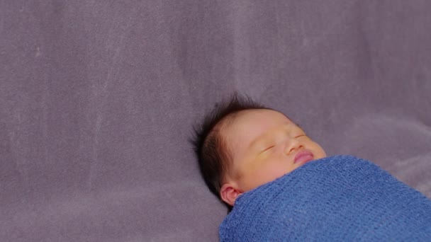 灰色の毛布の背景に青いストレッチラップ素材でリラックスした快適な睡眠新生児 アジアの新生児の赤ん坊の睡眠快適で暖かい 新生児の写真のコンセプト — ストック動画