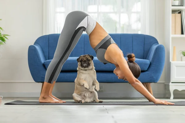 Frau Praktiziert Yoga Downward Facing Hund Oder Yoga Adho Mukha — Stockfoto