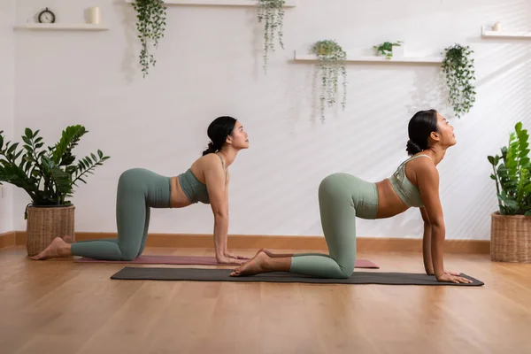 Ruhe Des Wohlbefindens Paar Asiatische Junge Frau Sitzen Auf Yogamatte — Stockfoto