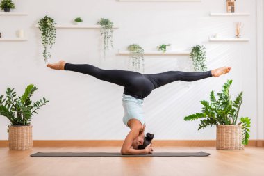 Yan görüş, spor giyimli Asyalı bir kadının ön camlarda yoga, Yoga Önkol Duruşu ya da Pincha Mayurasana pozu yapmasını teşvik ediyor. Rahat bir evde meditasyon yoga yapan sağlıklı genç bir kadının sakinliği.