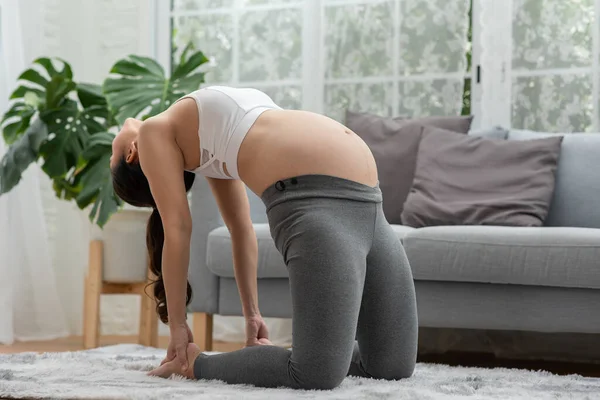 Gelukkig Aantrekkelijk Aziatisch Zwangere Vrouw Oefenen Yoga Ustrasana Houding Yoga — Stockfoto