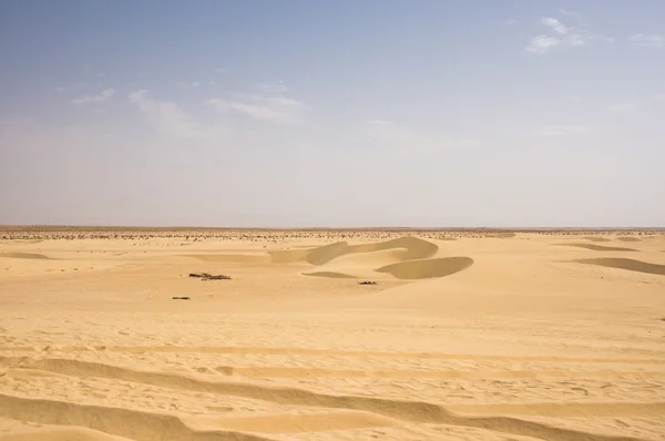 Desert Sahara — Stock Photo, Image