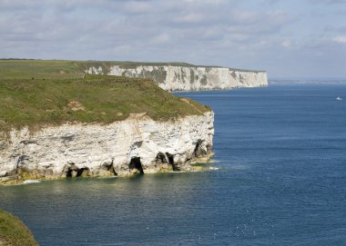 FLAMBOROUGH kafa