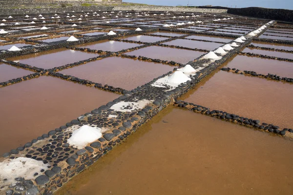 Sal marina fresca Salinas del Carmen Fuerteventura — Foto de Stock