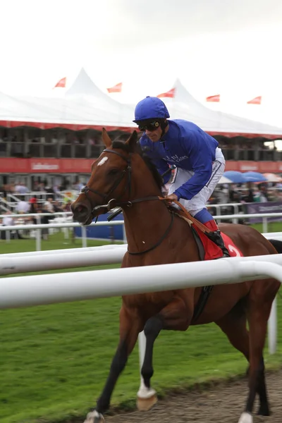 DONCASTER, ENGLAND-SEPTEMBER 11: St Leger day FRANKIE DETTORI o — стоковое фото