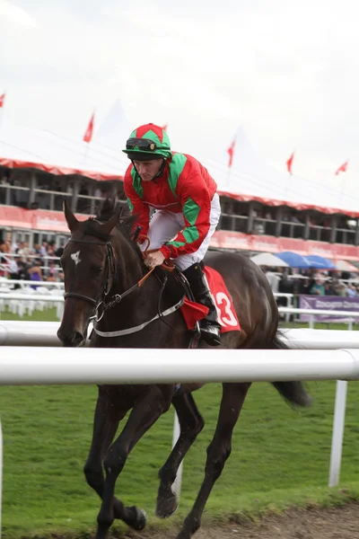 Doncaster, Anglie-11. září: st leger den paul hanagan na o — Stock fotografie