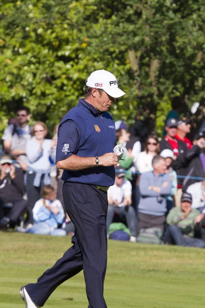 Lee Westwood — Stock fotografie