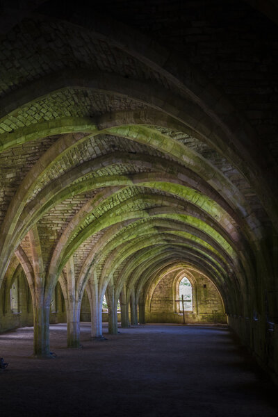 Fountains Abbey  Cellarium 