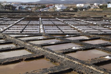 Fresh sea salt  Salinas del Carmen  Fuerteventura  clipart