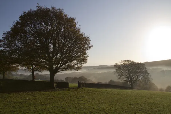 Mystic Dawn — Stock Photo, Image