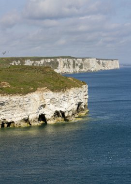 FLAMBOROUGH kafa