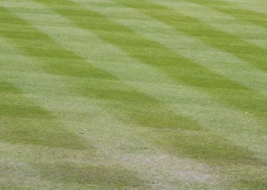 Golf Sahası fairway