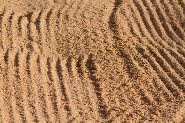 Lapáku písku — Stock fotografie