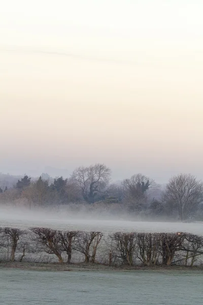 Cold and frosty morning — Stock Photo, Image