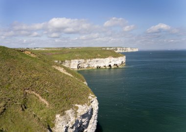 FLAMBOROUGH kafa
