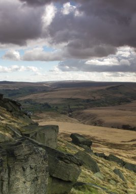 buckstone kenar