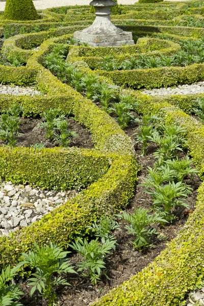 Jardins formais — Fotografia de Stock