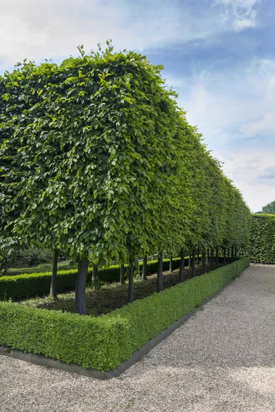 Jardines formales — Foto de Stock