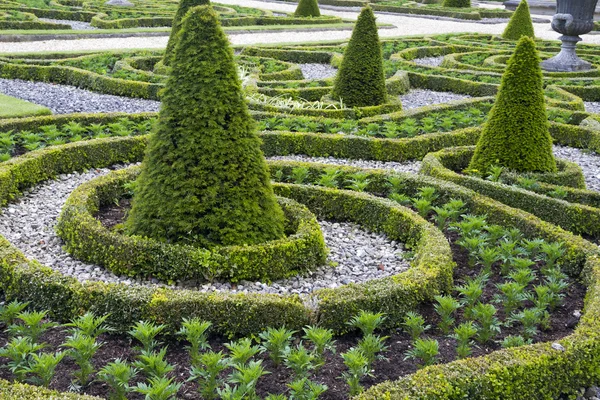 Formal gardens — Stock Photo, Image