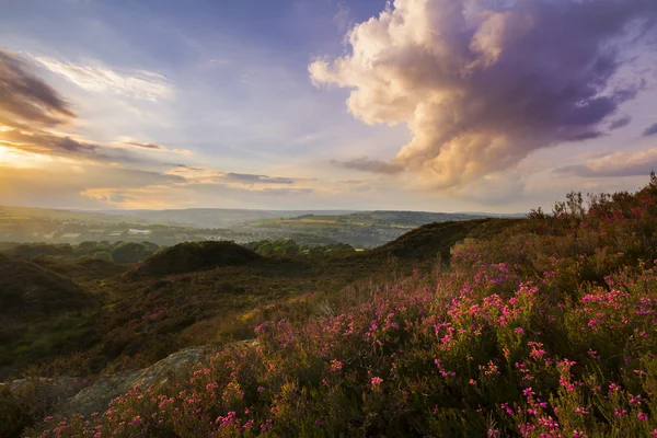 Pôr do sol sobre a charneca Norland — Fotografia de Stock