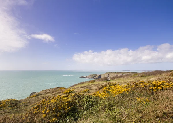 Coastal landscape — Stock Photo, Image