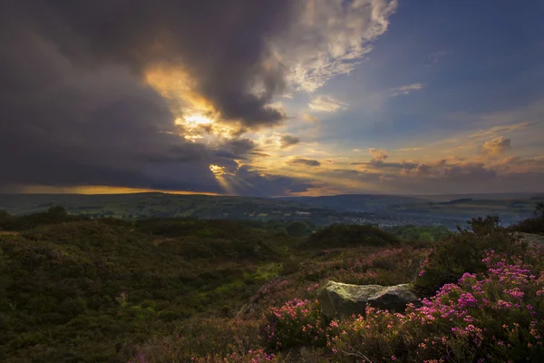 Coucher de soleil sur la lande de Norland — Photo