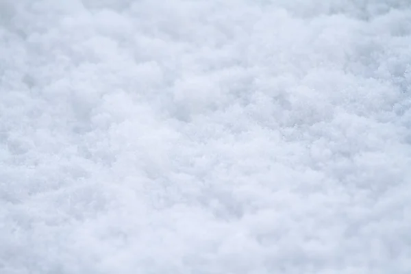 Neve caduta — Foto Stock