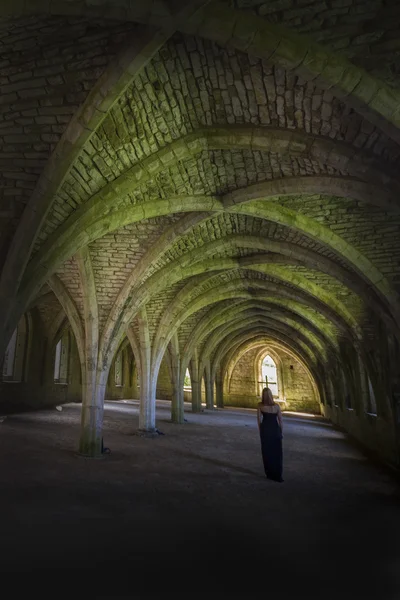 Fântâni Abbey Cellarium — Fotografie, imagine de stoc