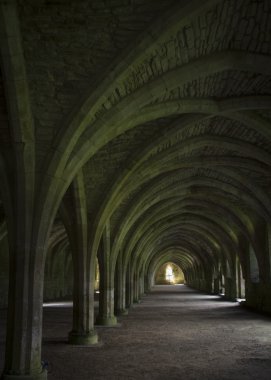 cellarium çeşmeler abbey