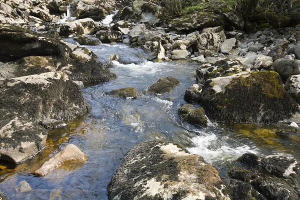 Akışı kayalar ile — Stok fotoğraf